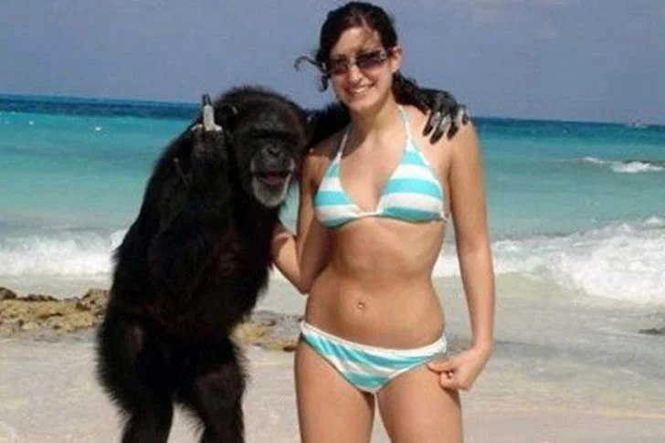 25 Photos You Won’t Believe Were Taken At Beach