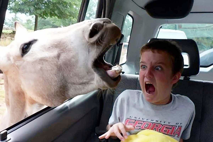 25 Photos You Won’t Believe Were Taken At Beach