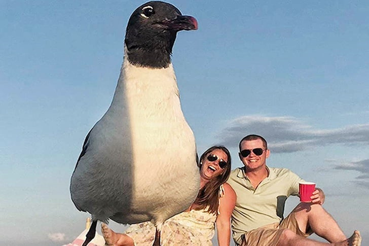 25 Photos You Won’t Believe Were Taken At Beach