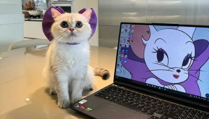 Adorable Pet Moments That Will Melt Your Heart