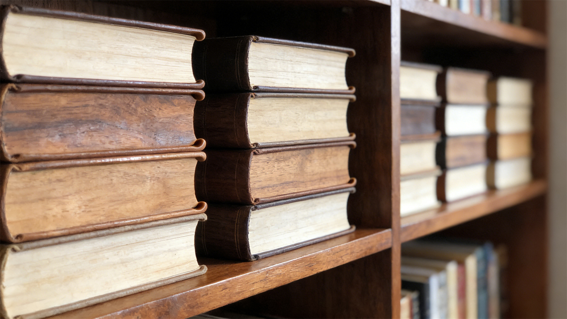 Bookshelves Beyond Books: What to Look for in a Versatile Storage Unit