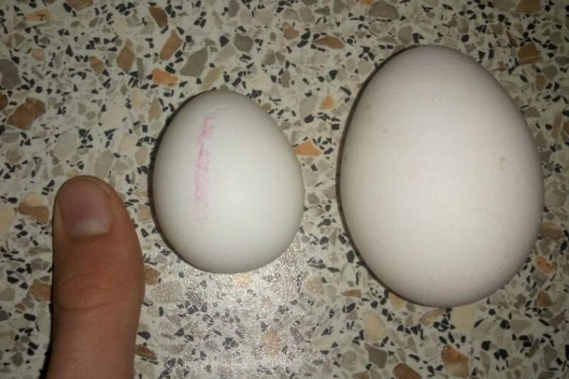 Comparison Photos That Changed Our Perspectives – This Will Make You Stop and Think