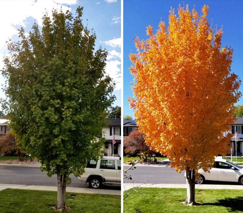 Comparison Photos That Changed Our Perspectives – This Will Make You Stop and Think