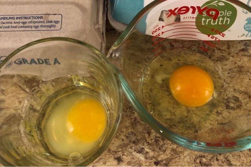Comparison Photos That Changed Our Perspectives – This Will Make You Stop and Think