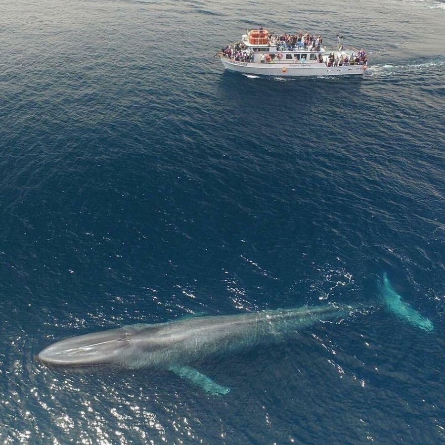 Comparison Photos That Changed Our Perspectives – This Will Make You Stop and Think