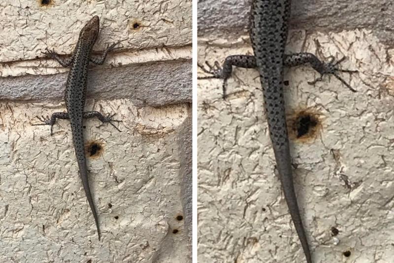 Comparison Photos That Changed Our Perspectives – This Will Make You Stop and Think