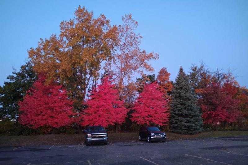 Comparison Photos That Changed Our Perspectives – This Will Make You Stop and Think
