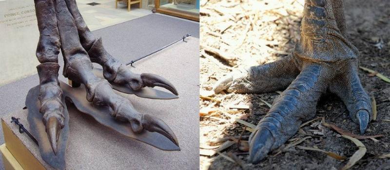 Comparison Photos That Changed Our Perspectives – This Will Make You Stop and Think