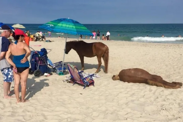 Hilarious Beach Photos Gone Wrong