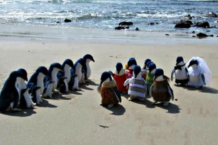 Hilarious Beach Photos Gone Wrong