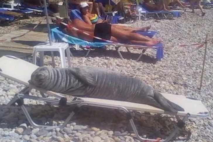 Hilarious Beach Photos Gone Wrong