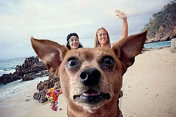 Hilarious Beach Photos Gone Wrong