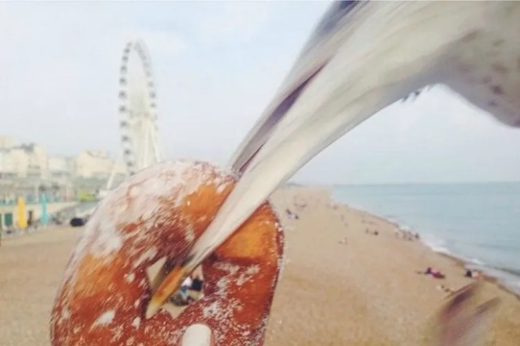 Hilarious Beach Photos Gone Wrong