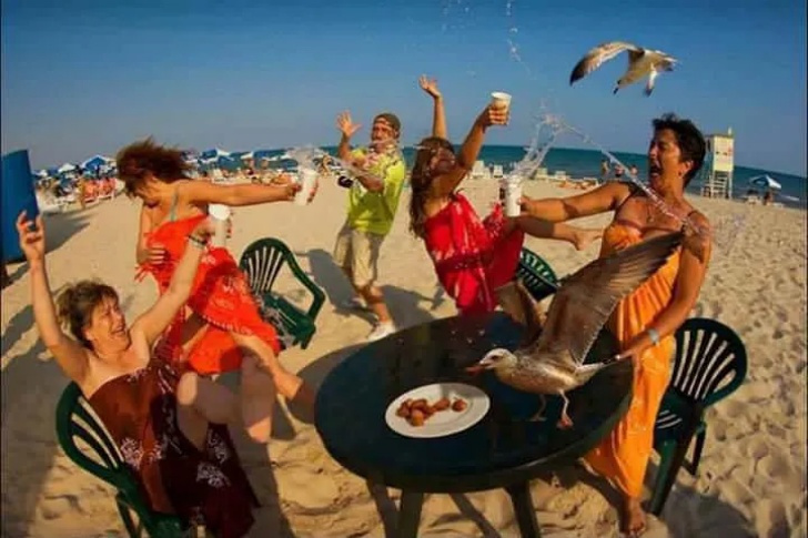 Hilarious Beach Photos Gone Wrong