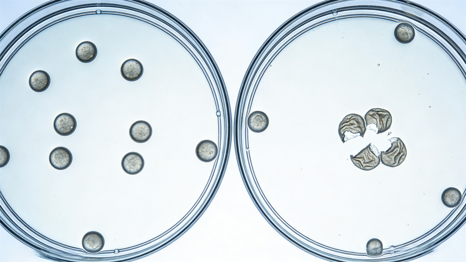 Is Your Workout Making You Age Faster?