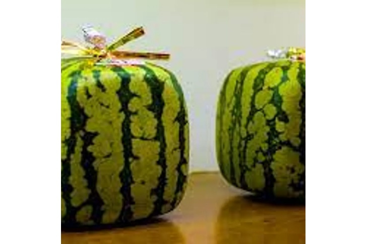 These Are Things That Are Normal In Japan But Strange Elsewhere