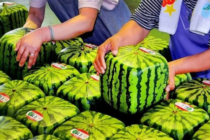 These Are Things That Are Normal In Japan But Strange Elsewhere